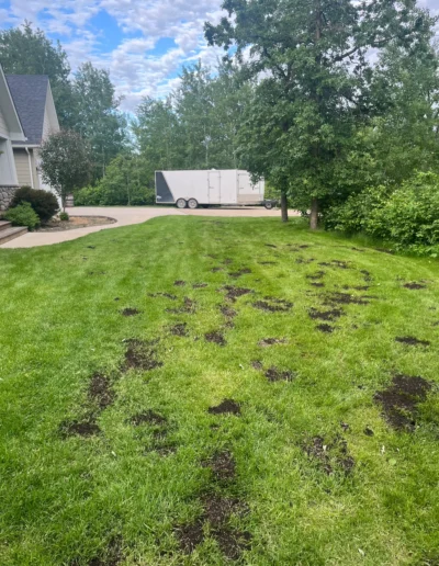 Eastman Yard Care Projects