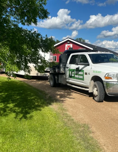 Eastman Yard Care Projects