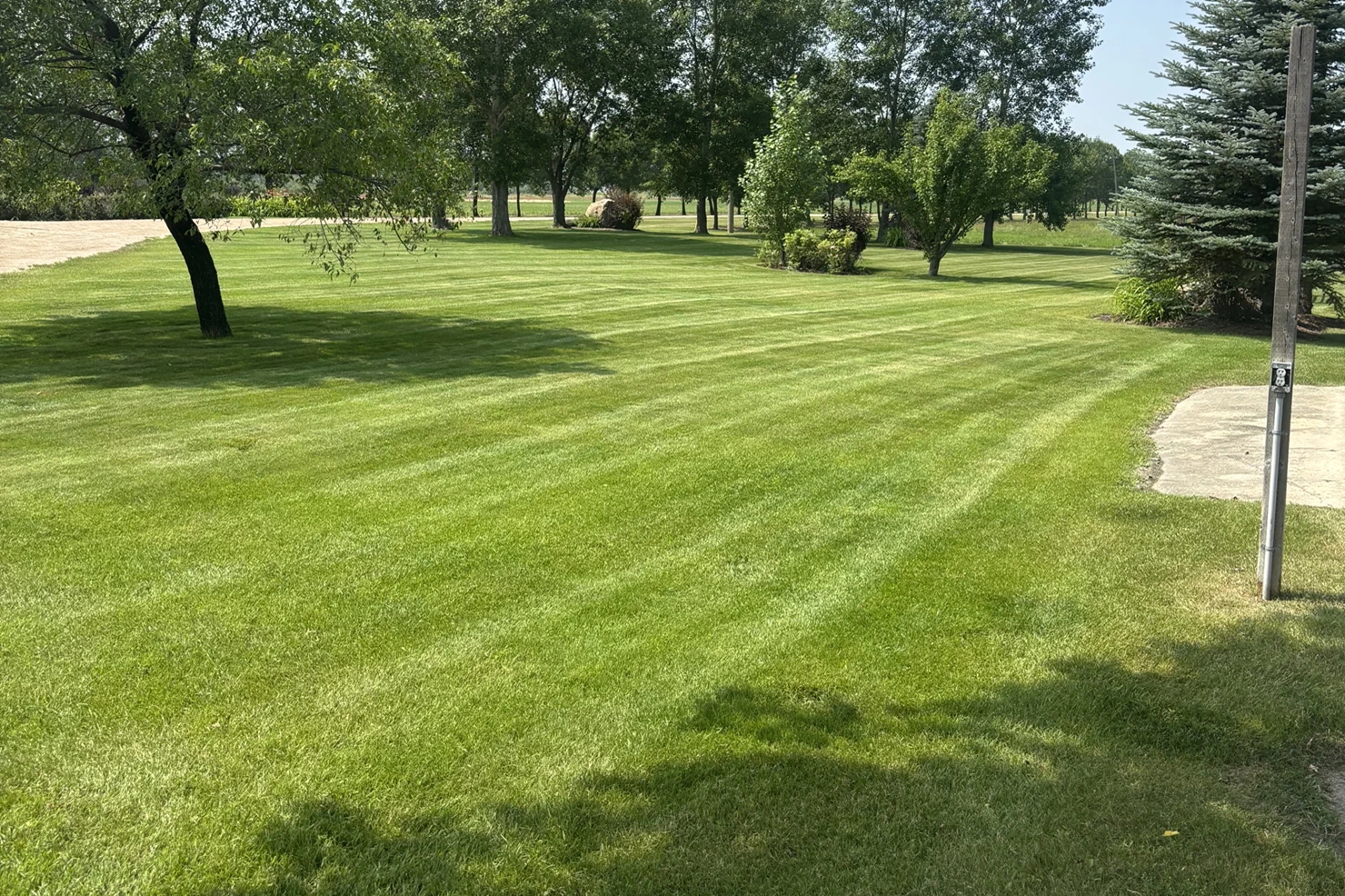 recently mowed lawn